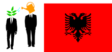 an image representing mentoring + an Albanian flag